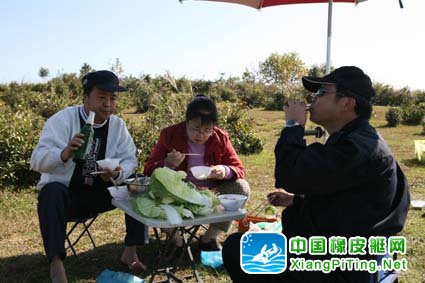 啤酒和水果当然不能少了
