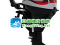 水星(Mercury)4冲程9.9马力LW船外机/舷外机/船用发动机
