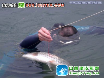 中艇V310AL+宗申T15 广西桂林 潜水捕鱼