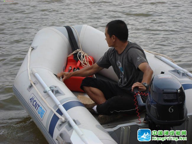 老树盘根