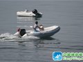 腾飞的“海的”