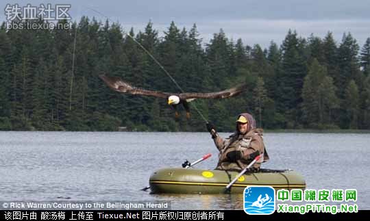 美国男子乘橡皮艇钓鱼遭遇秃鹰“公然”抢夺